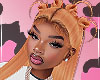 Willow CITRUS ⋆˚࿔
