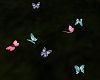 Petals Butterflies