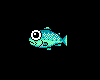 Tiny Big Eyed Fish