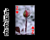 *Chee:Frozen Rose Card