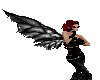 Dark wings Loucy