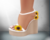 Wedge sunflower