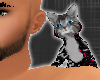 *-*EMO Shoulder Kitten