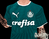 Camiseta Palmeiras | v1