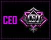 CEO ARM - F