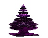 purple xmas plant