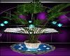 Plants w Candle Pond
