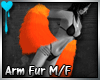 D~Arm Fur:Orange (M/F)