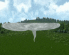 Tornado  Animated