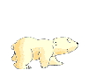 Running Polar Bear