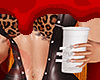 2x Doublecup