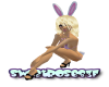 SR - Playboy Bunny
