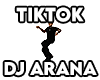 DJ ARANA TIKTOK