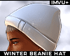 ! winter beanie hat