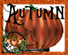 ~QI~ Autumn Pumpkins