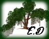 E.D LOVE TREE