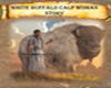 WHITE BUFFALO BOOK