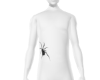Tattoo Aranha