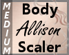 Body Scaler Allison M