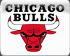 Chicago Bulls Gym -Add