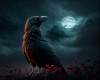 6v3| Crow under the Moon
