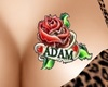 TATOO ''ADAM''