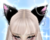 Meow Ear