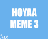 Hoyaa Meme 3