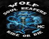 soulreapers banner