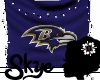 S. Ravens Banner