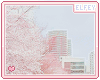 .:E:. 50k support