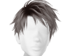 cort shei