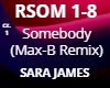 Somedoby (remix) cz1