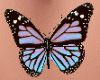 Galaxy Belly Butterfly 