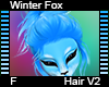 Winter Fox Hair V2