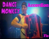 dance monkey-accordion