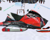 Ski Doo Snow Mobile R