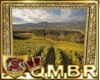 QMBR Napa Vineyards
