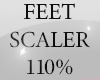 foot scaler 110%