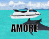 Amore Jet & Dolphins