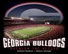 Georgia Bulldogs room