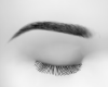 Black Eyebrows