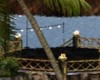 GOLDEN BRIDGE ISLAND