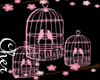 cage bird lolita decorat