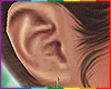 Pride Earrings