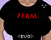 Ξ| FERAL
