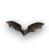 Bat By Maggi