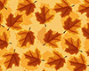 Fall Leaf Rug w/ Tassles