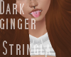 Dark Ginger || STRINGLA