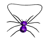 Purple Spider Gem Neck
